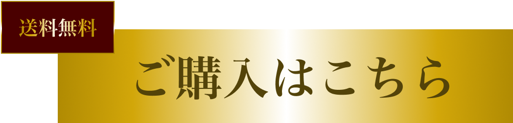 送料無料 ご購入はこちら